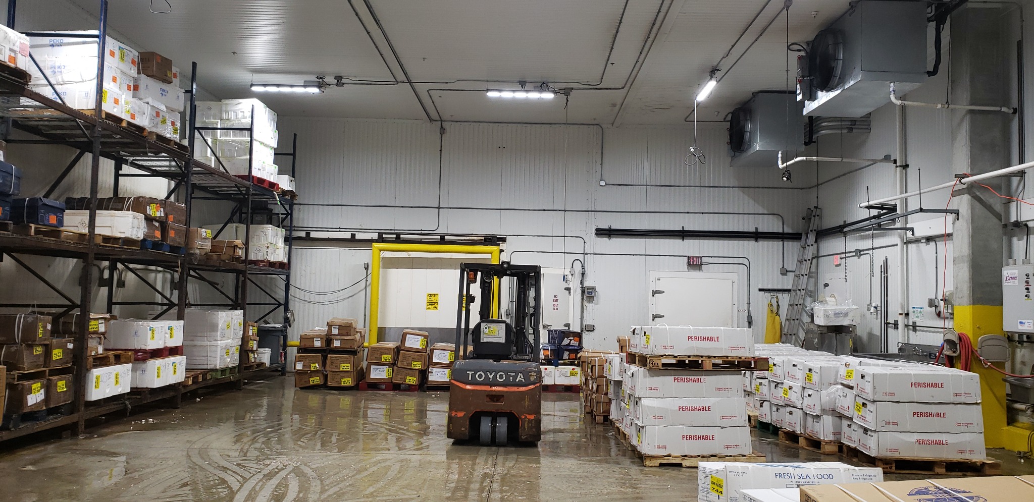 Wide commercial cold-storage room with distributed ceiling-mounted unit coolers