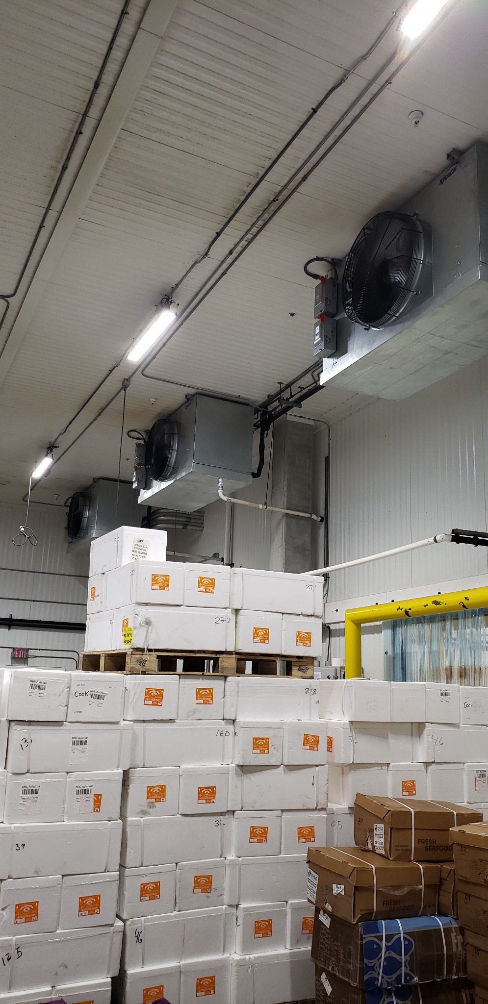 Commercial cold-storage facility with multiple ceiling-mounted evaporator units