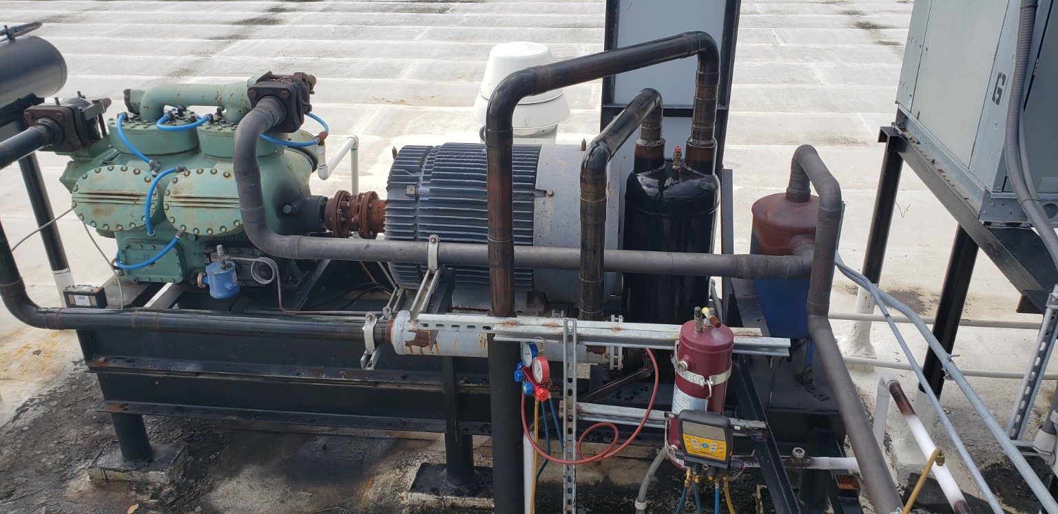 Carlyle Carrier 5H-126 open drive refrigeration compressor with 200 HP motor serving North Star M-40
